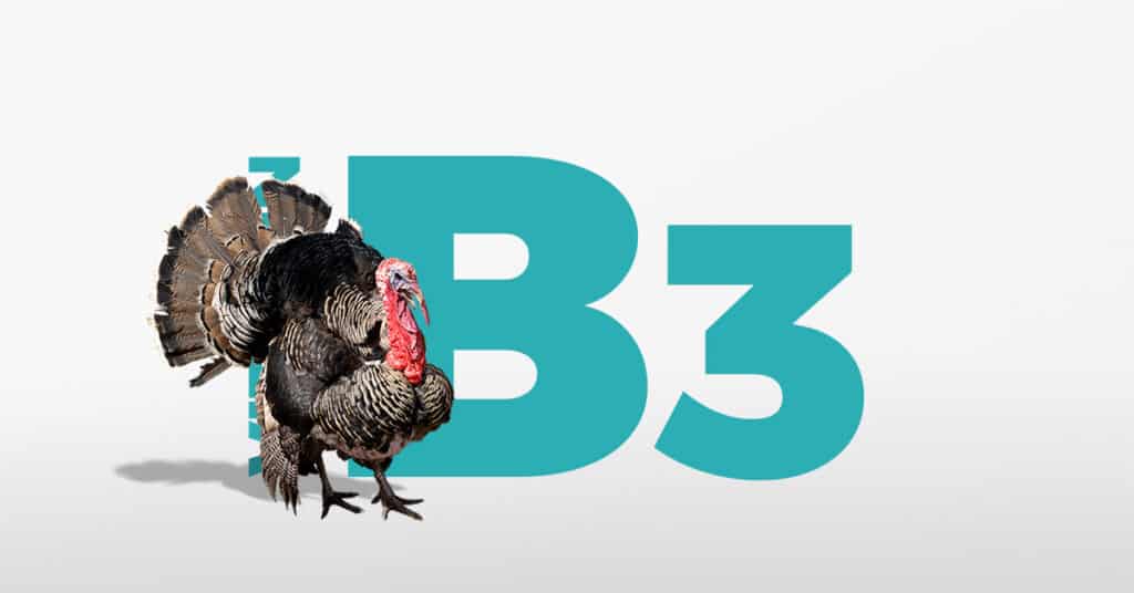 Vitamin B3 The Complex Vitamin Jakefood Jake