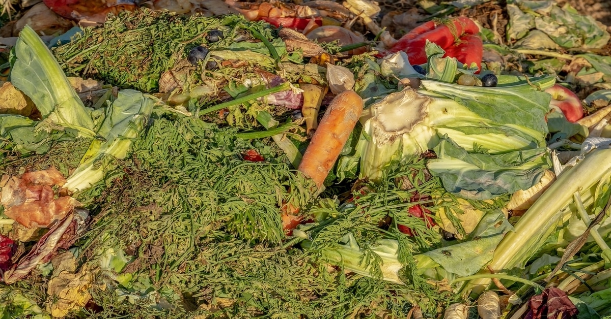 food-waste-the-problem-and-the-solutions-jakefood-jake